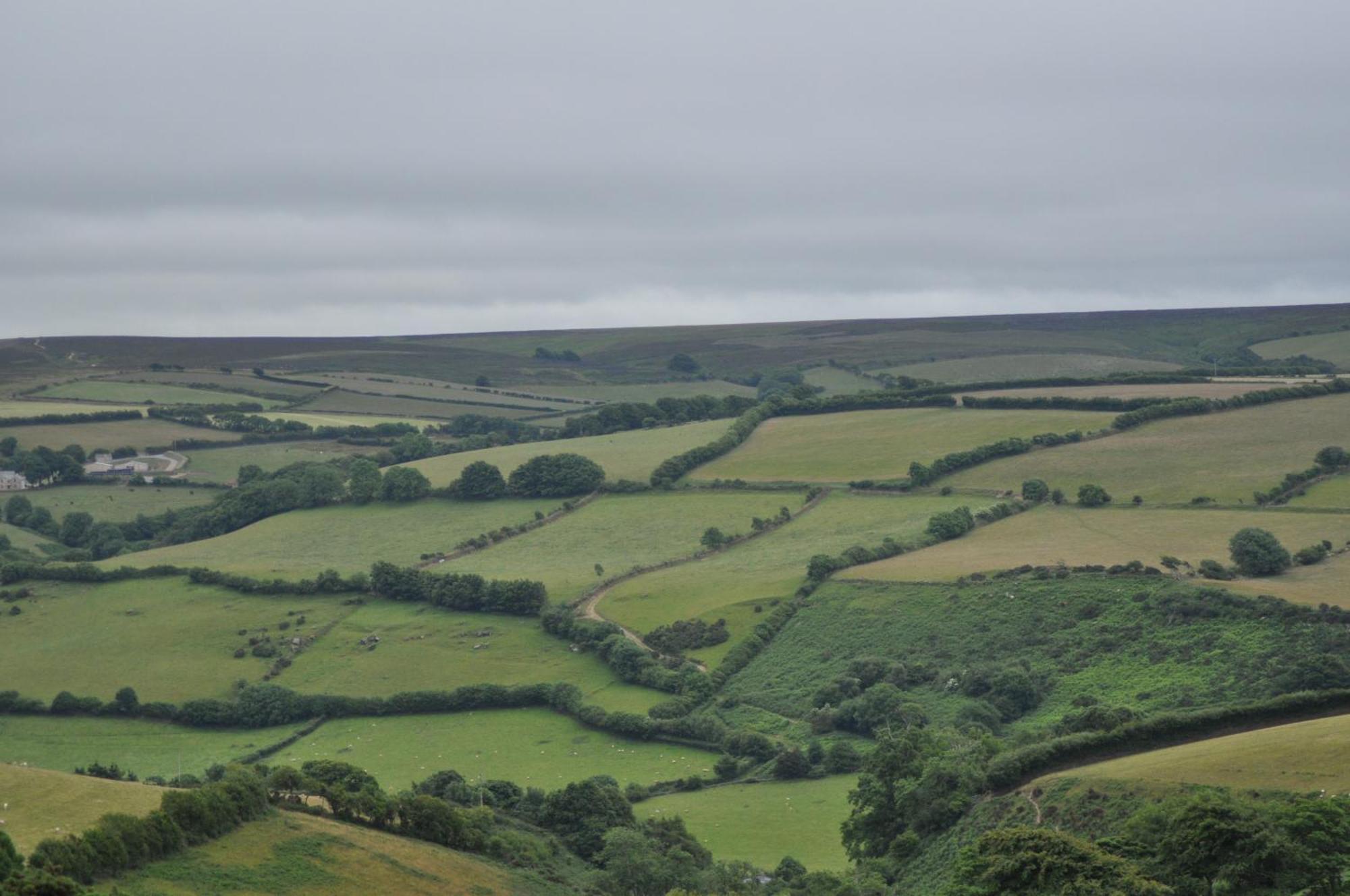 Coombe Farm Bed and Breakfast Lynton Exteriör bild
