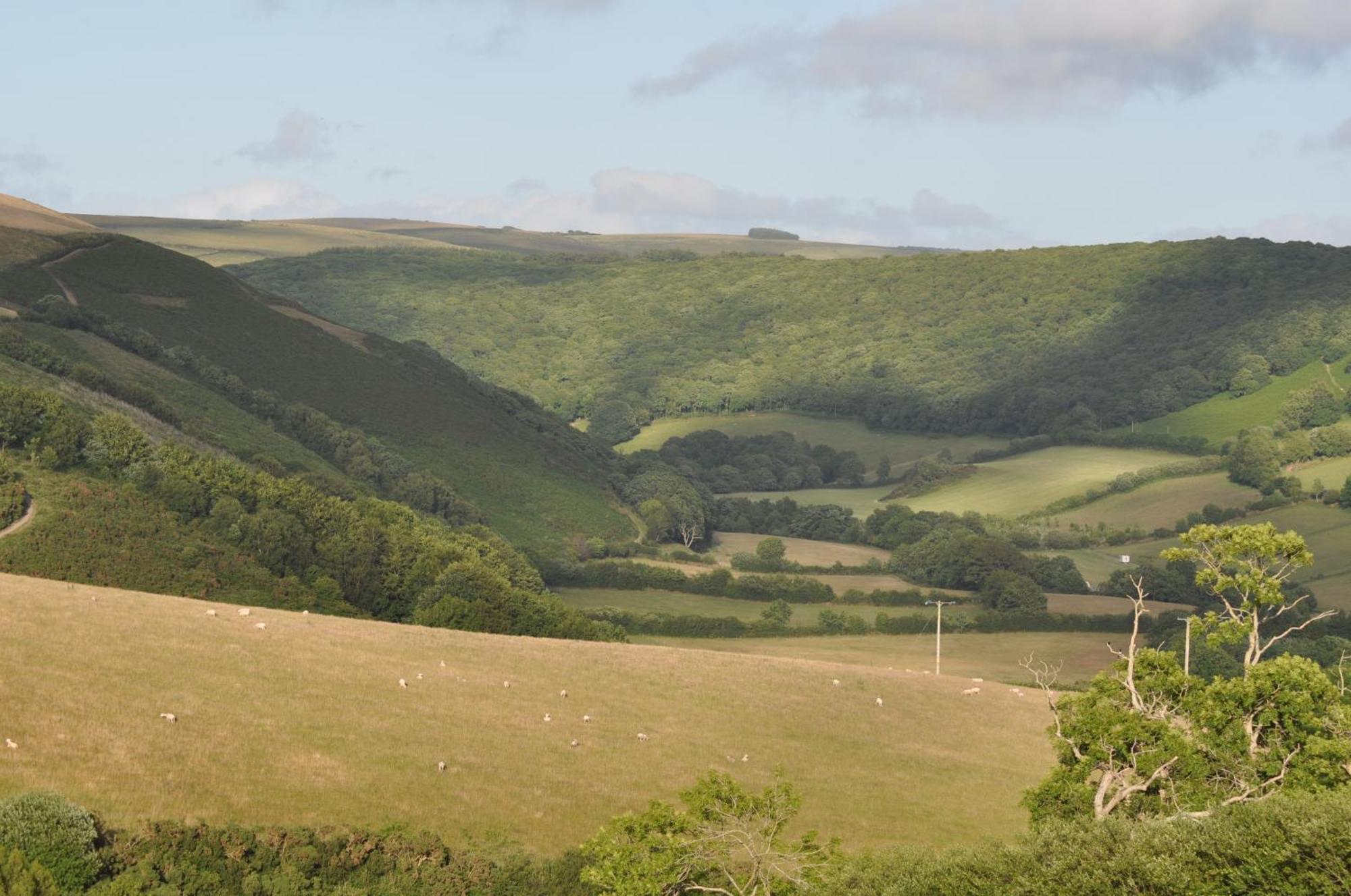 Coombe Farm Bed and Breakfast Lynton Exteriör bild