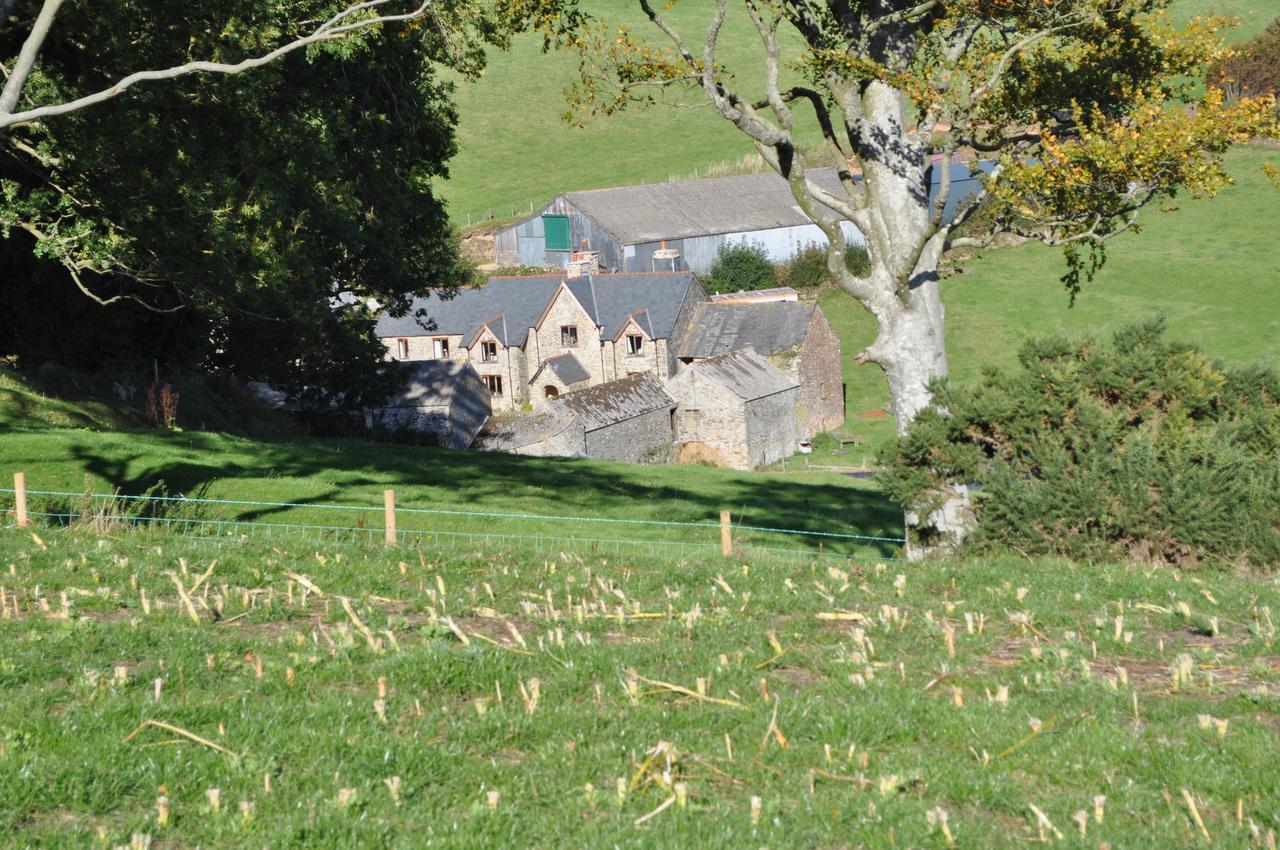 Coombe Farm Bed and Breakfast Lynton Exteriör bild
