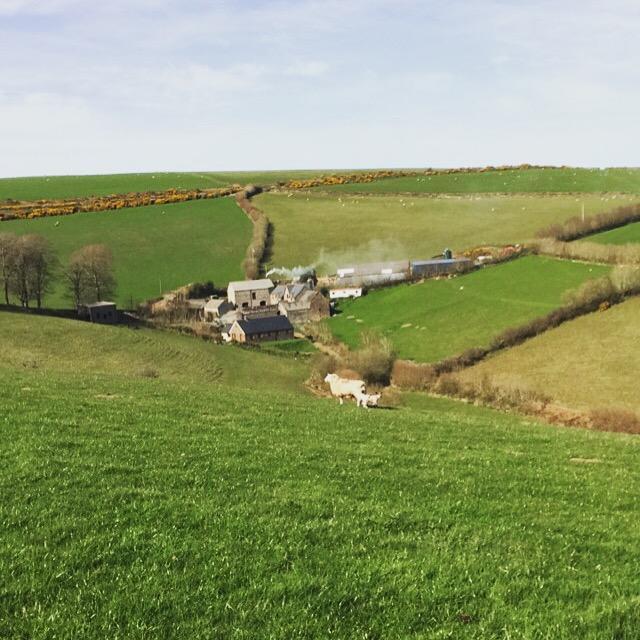Coombe Farm Bed and Breakfast Lynton Exteriör bild